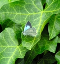 P6160054