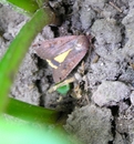 P6160059